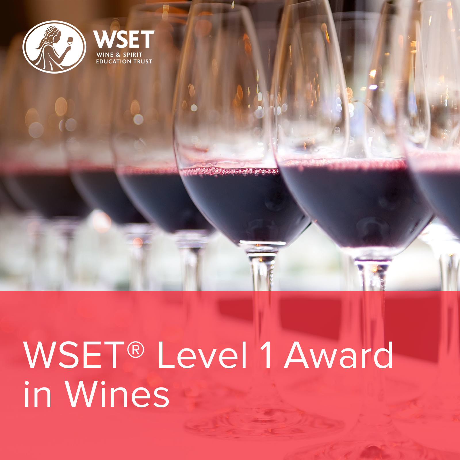 WSET Level 1 Award in Wines Studypack
